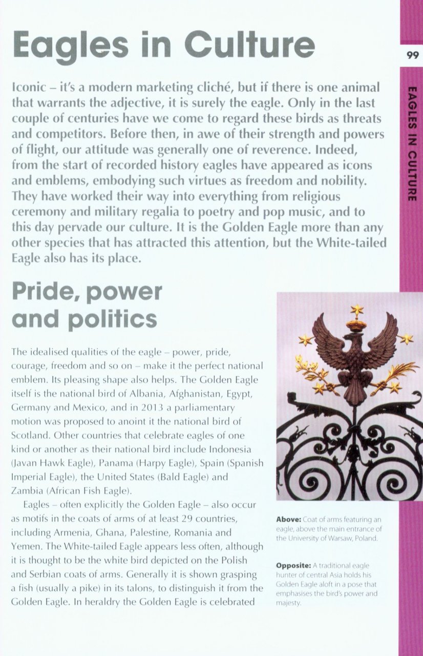 RSPB SPOTLIGHT: EAGLES 4