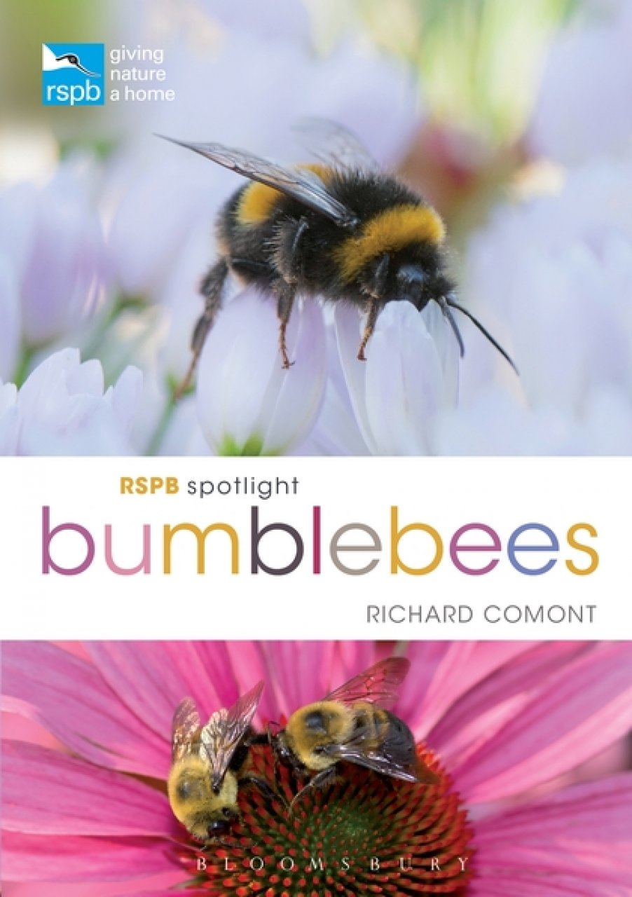 RSPB SPOTLIGHT: BUMBLEBEES