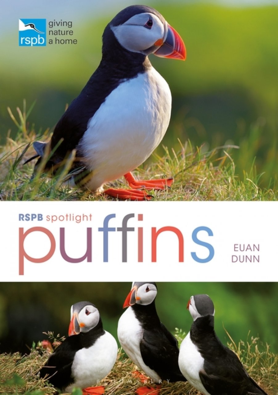 RSPB SPOTLIGHT: PUFFINS