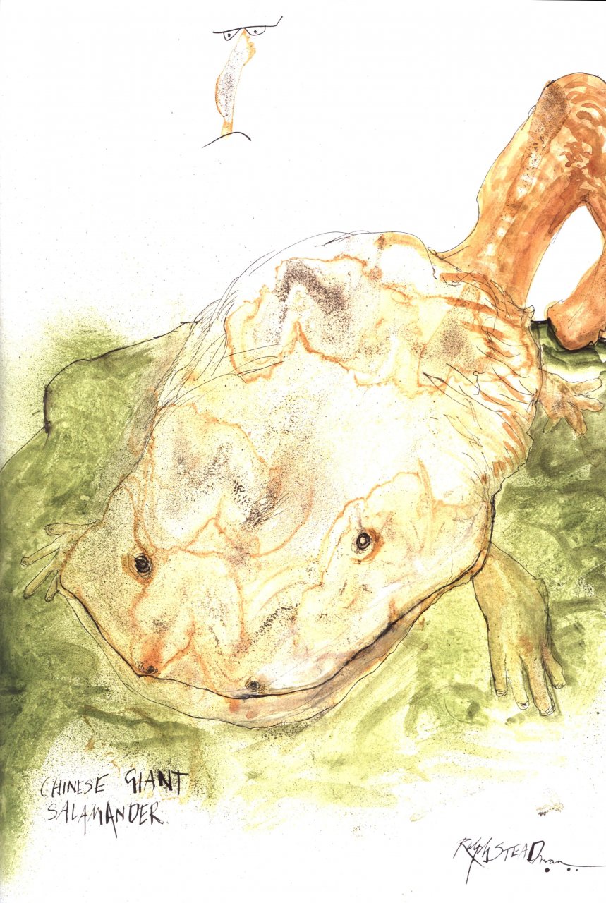 CRITICAL CRITTERS WITH BEASTLY SNEERS AND CALLOUS OBSERVATIONS 5