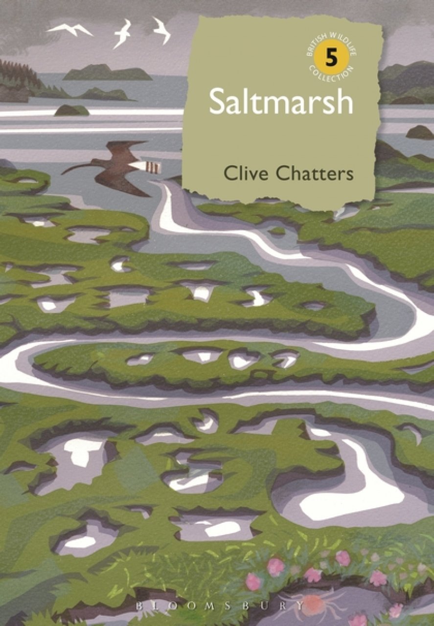 SALTMARSH