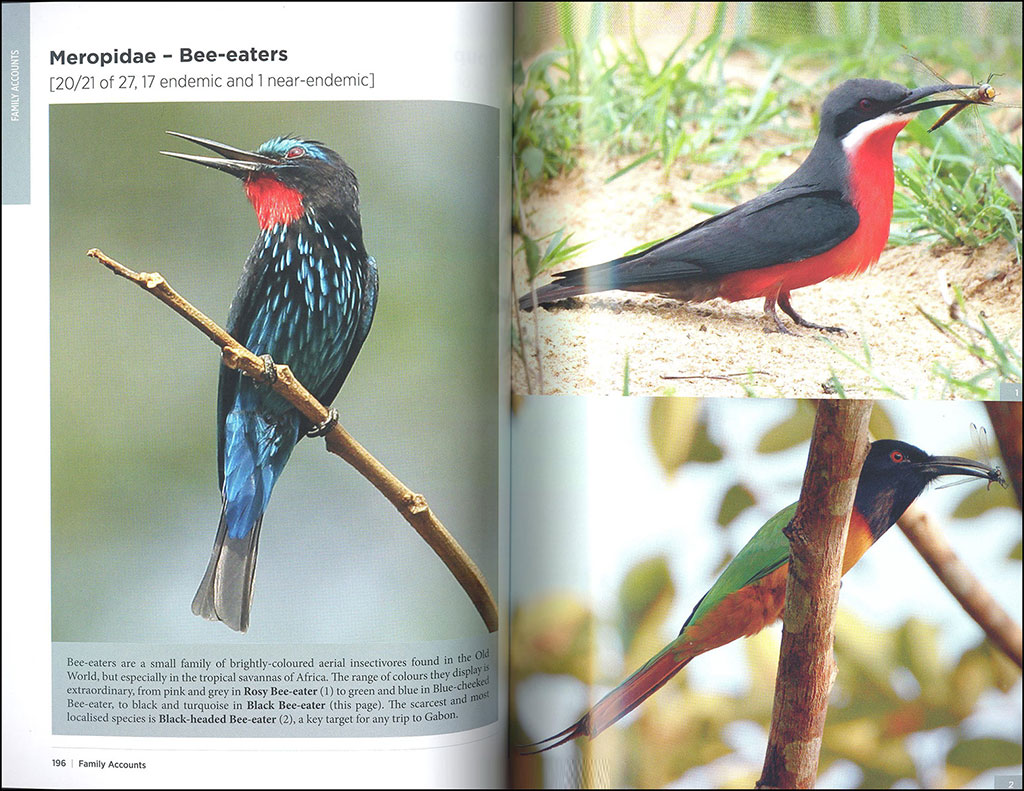THE BIRDER'S GUIDE TO AFRICA 4