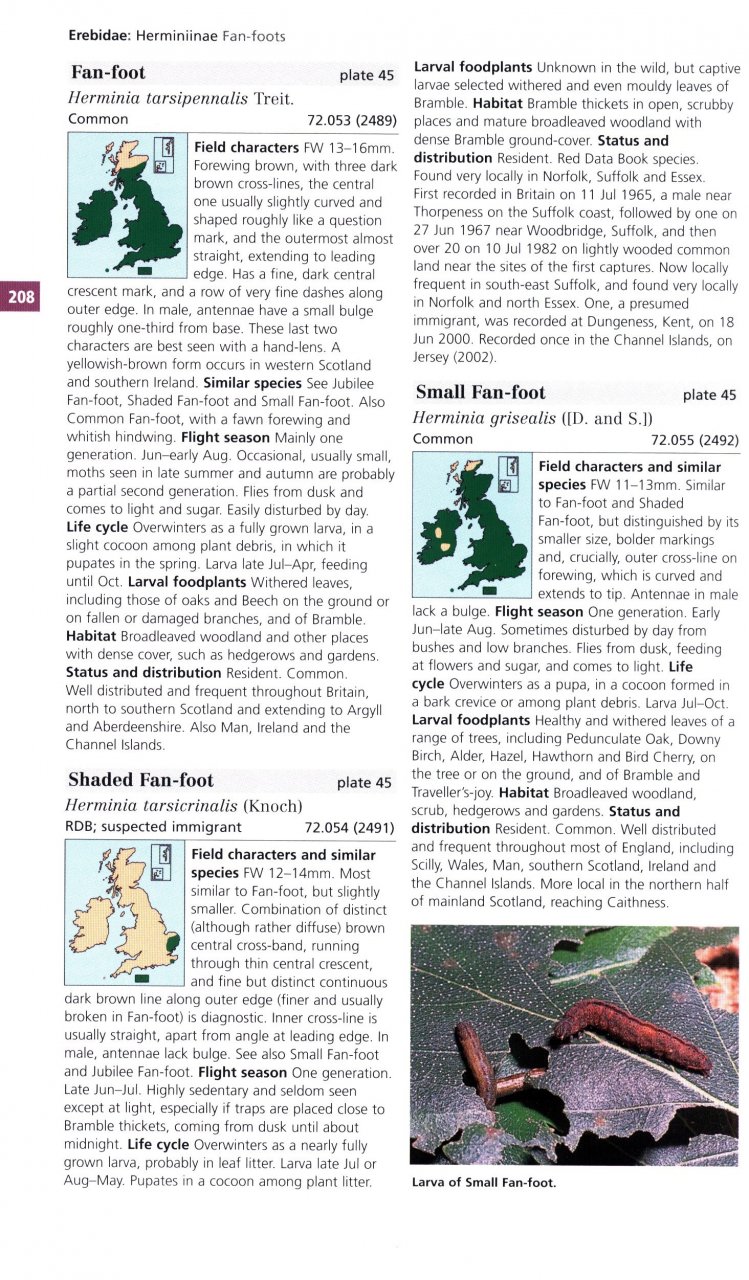 FIELD GUIDE TO THE MOTHS OF GREAT BRITAIN AND IRELAND 5