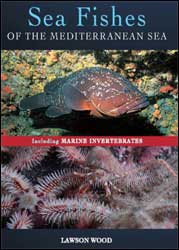 SEA FISHES OF THE MEDITERRANEAN SEA 1