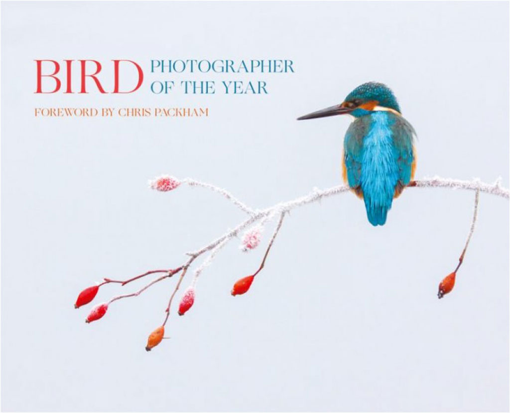 BIRD PHOTOGRAPHER OF THE YEAR. COLLECTION 2