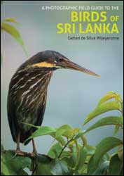 A PHOTOGRAPHIC FIELD GUIDE TO THE BIRDS OF SRI LANKA 1
