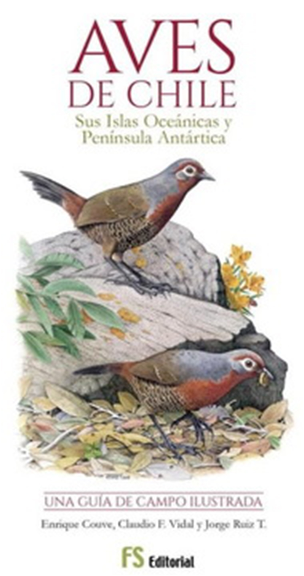 AVES DE CHILE. SUS ISLAS OCEÁNICAS Y PENÍNSULA ANTÁRTICA. UNA GUÍA DE CAMPO ILUSTRADA 1