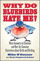 WHY DO BLUEBIRDS HATE ME? MORE ANSWERS TO COMMON AND NOT-SO-COMMOM QUESTIONS ABOUT BIRDS AND BIRDING