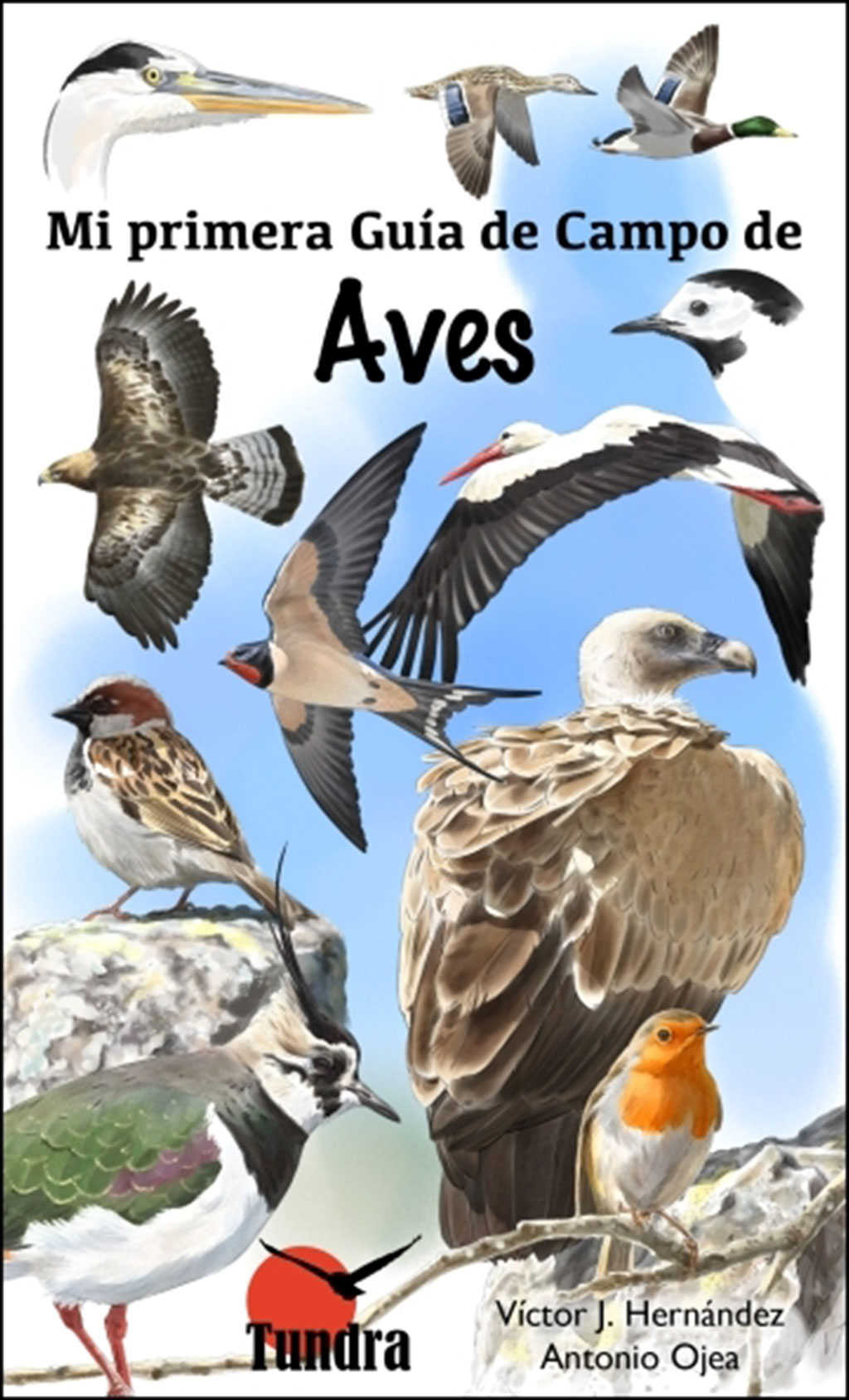 MI PRIMERA GUÍA DE CAMPO DE AVES 1