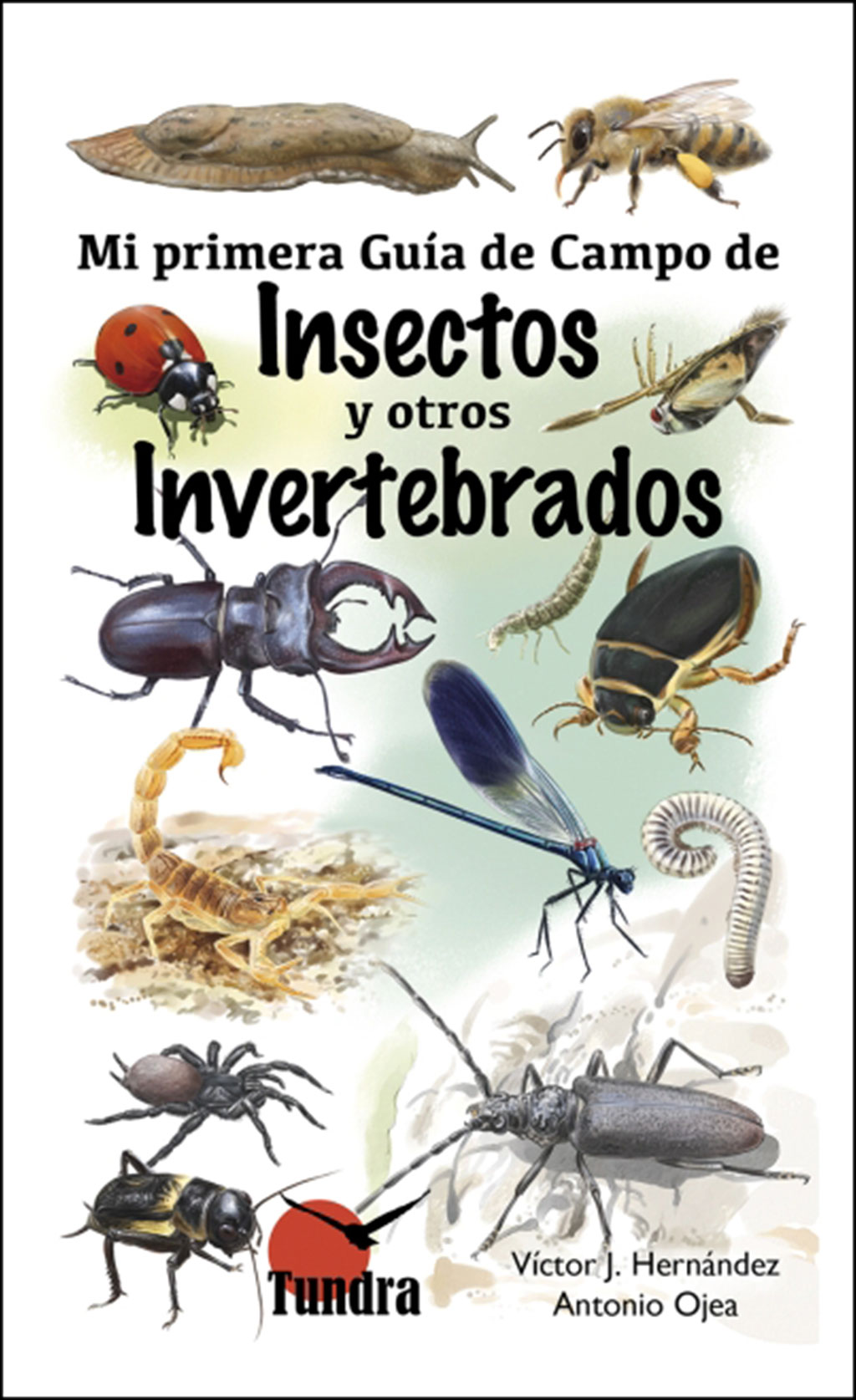 MI PRIMERA GUÍA DE CAMPO DE INSECTOS Y OTROS INVERTEBRADOS