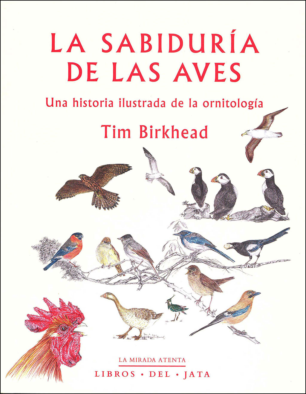 LA SABIDURIA DE LAS AVES 1