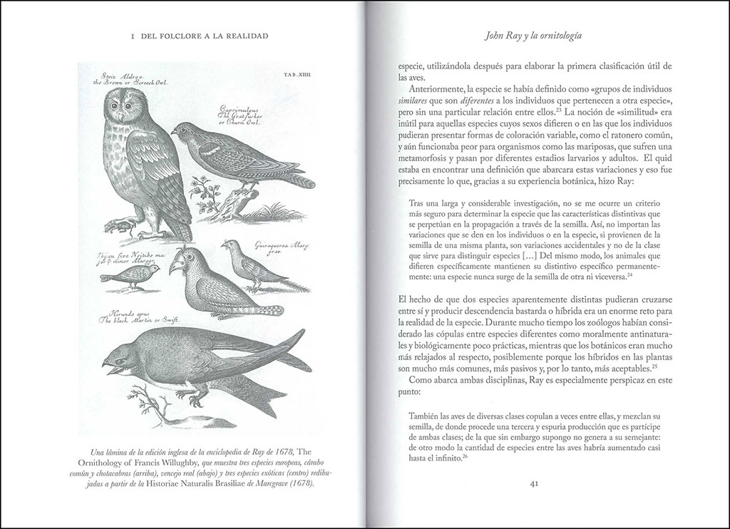 LA SABIDURIA DE LAS AVES 3