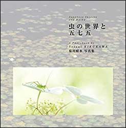 JAPANESE INSECTS AND HAIKU / 575 INSECTOS DEL MUNDO 1