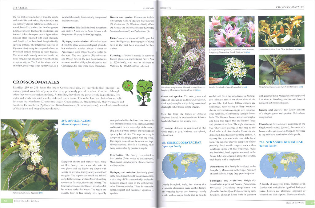 PLANTS OF THE WORLD. AN ILLUSTRATED ENCYCLOPEDIA OF VASCULAR PLANT FAMILIES 3