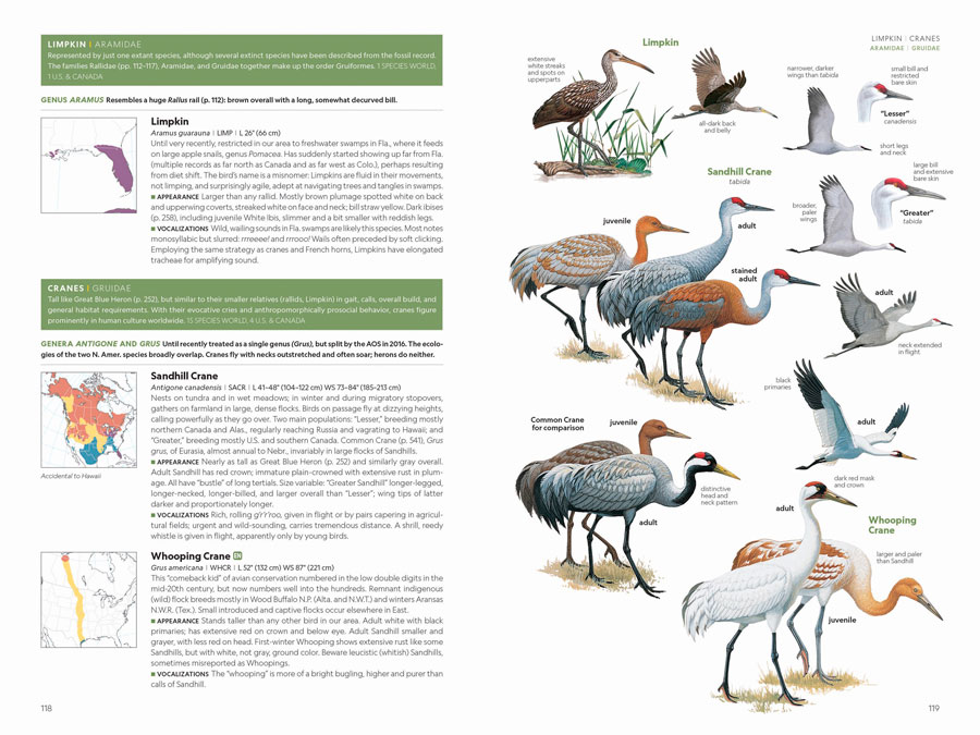NATIONAL GEOGRAPHIC FIELD GUIDE TO THE BIRDS OF THE UNITED STATES AND CANADA 3