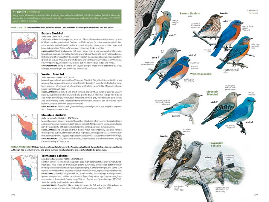 NATIONAL GEOGRAPHIC FIELD GUIDE TO THE BIRDS OF THE UNITED STATES AND CANADA 4