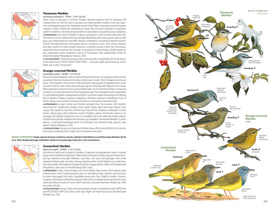 NATIONAL GEOGRAPHIC FIELD GUIDE TO THE BIRDS OF THE UNITED STATES AND CANADA 5