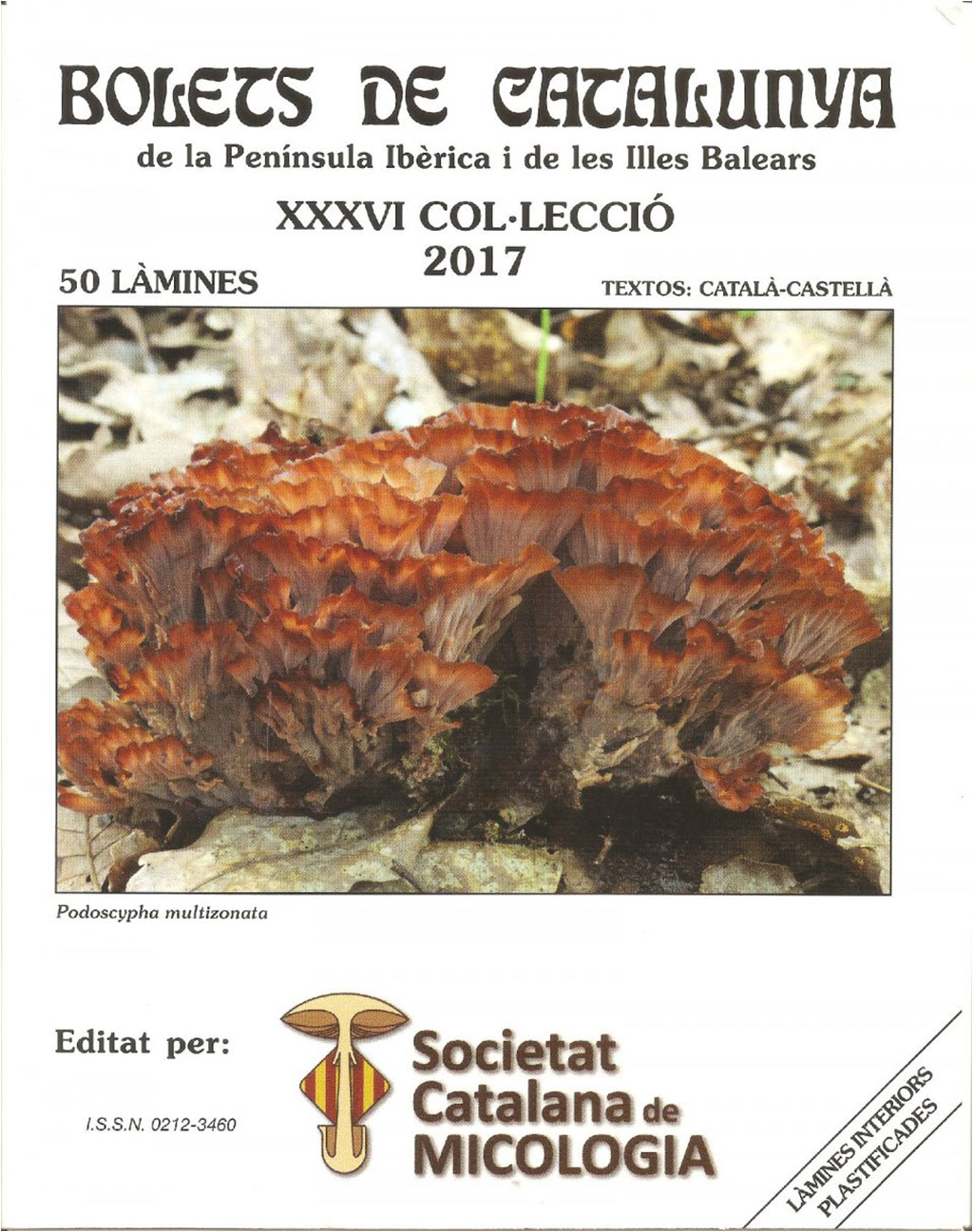 COL·LECCIÓ DE BOLETS DE CATALUNYA. VOLUM XXXVI 1