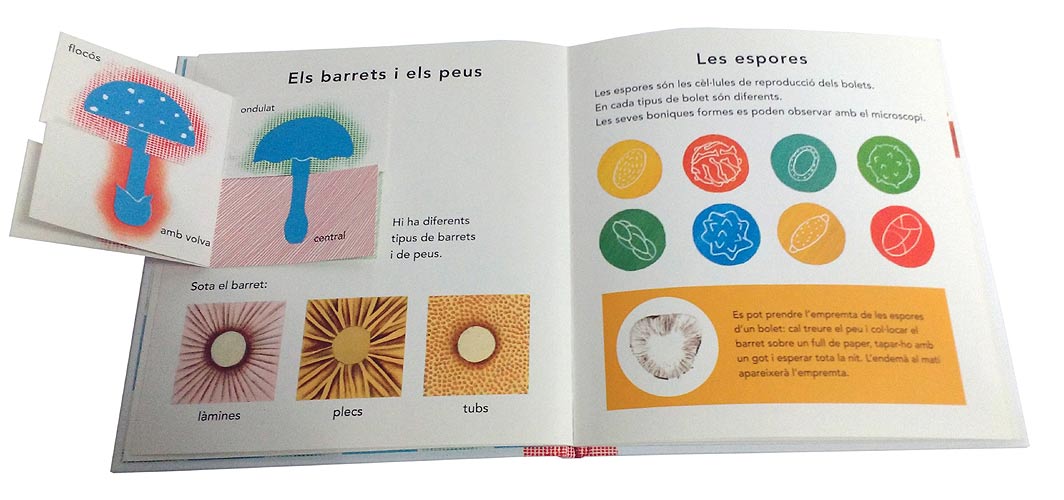 EL BOLET 2