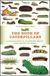THE BOOK OF CATERPILLARS. A LIFE-SIZE GUIDE TO SIX HUNDRED SPECIES FROM AROUND THE WORLD 1