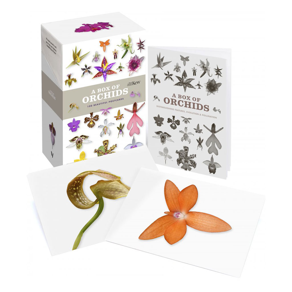 A BOX OF ORCHIDS. 100 BEAUTIFUL POSTCARDS