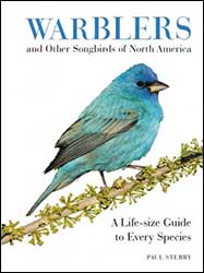 WARBLERS AND OTHER SONGBIRDS OF NORTH AMERICA: A LIFE-SIZE GUIDE TO EVERY SPECIES