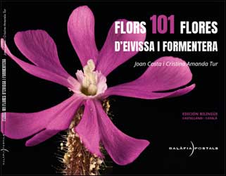 101 FLORS/FLORES D'EIVISSA I FORMENTERA 1