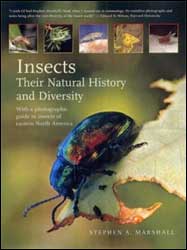 INSECTS. THEIR NATURAL HISTORY AND DIVERSITY