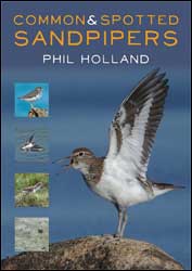 COMMON & SPOTTED SANDPIPERS