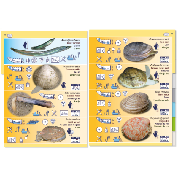 MARINE PICTOLIFE. LOW TIDE. MAREE BASSE. MAREA BAJA 5