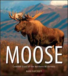 MOOSE. CROWNED GIANT OF THE NORTHERN WILDERNESS