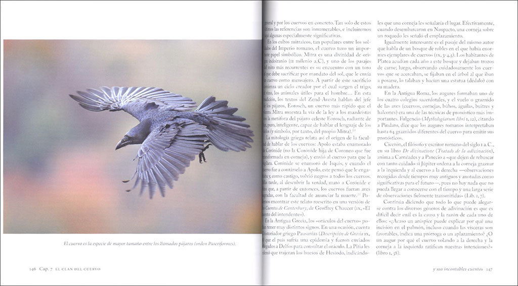AVES FAMILIARES. VIDA Y LEYENDA 4