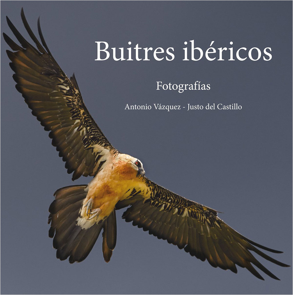 BUITRES IBÉRICOS. FOTOGRAFÍAS 1