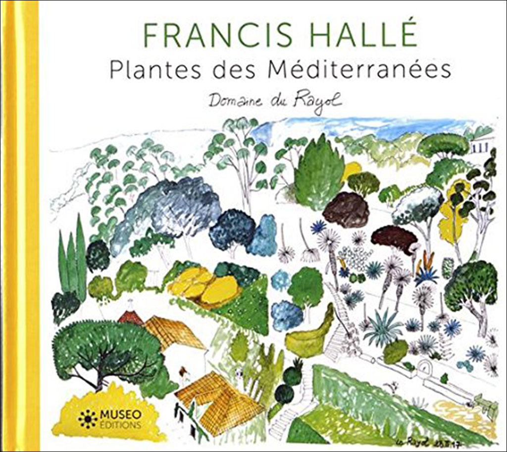 FRANCIS HALLÉ. PLANTES DES MÉDITERRANÉES 1