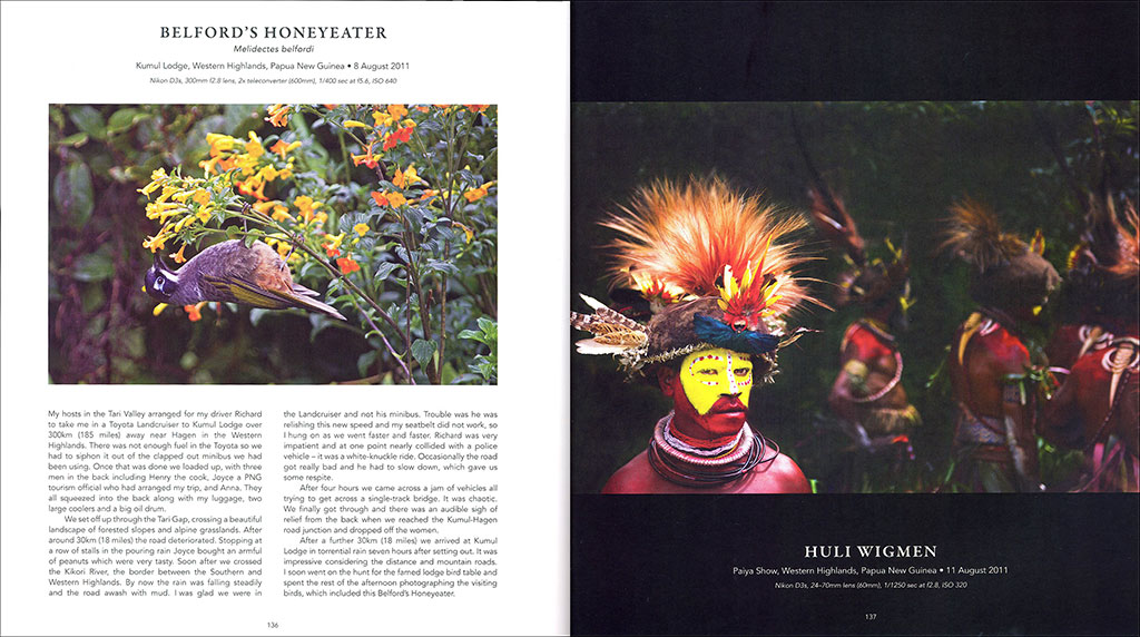 A BIRD PHOTOGRAPHER'S DIARY 2