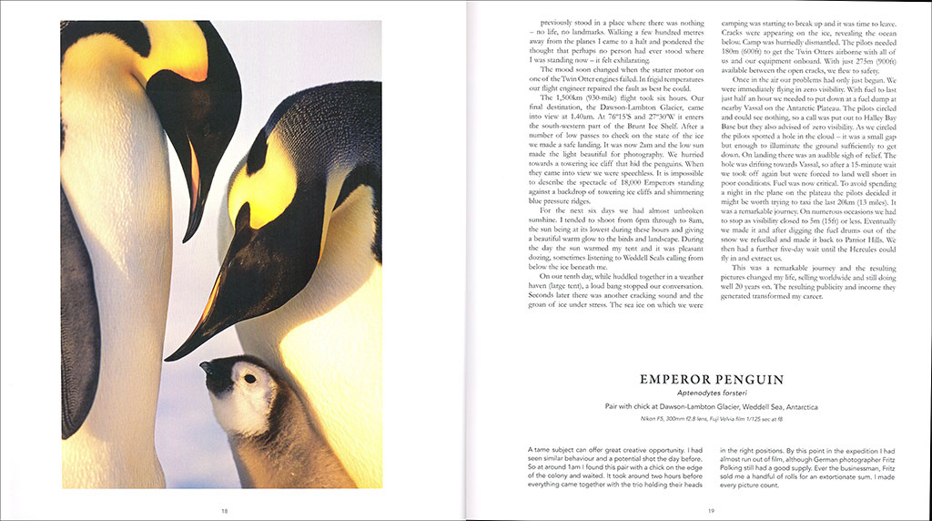 A BIRD PHOTOGRAPHER'S DIARY 4