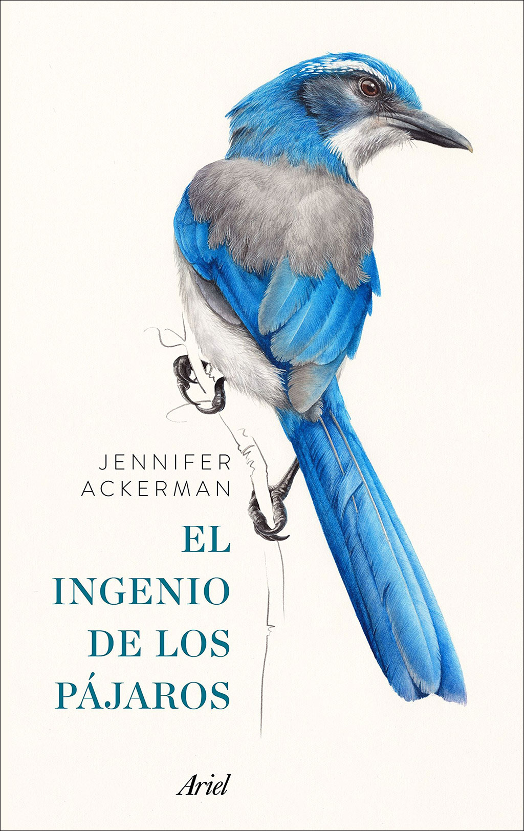 PACK EL INGENIO DE LOS PÁJAROS 1