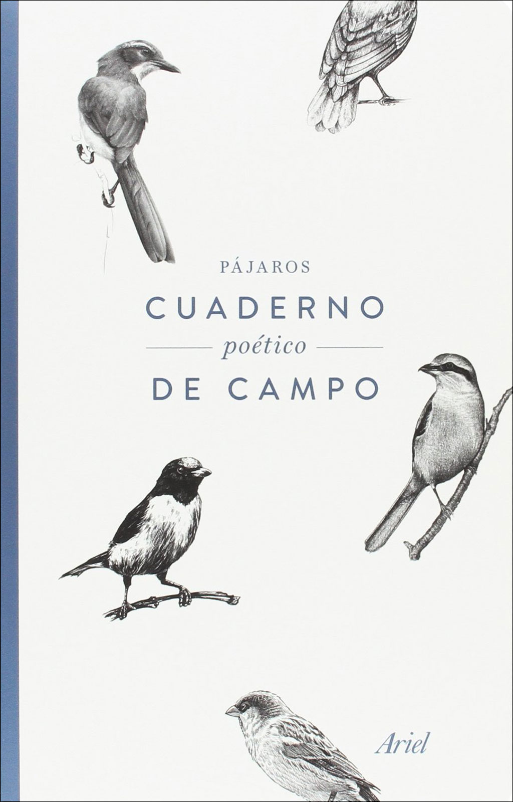 PACK EL INGENIO DE LOS PÁJAROS 2