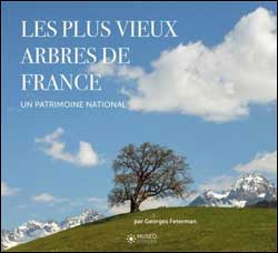 LES PLUS VIEUX ARBRES DE FRANCE