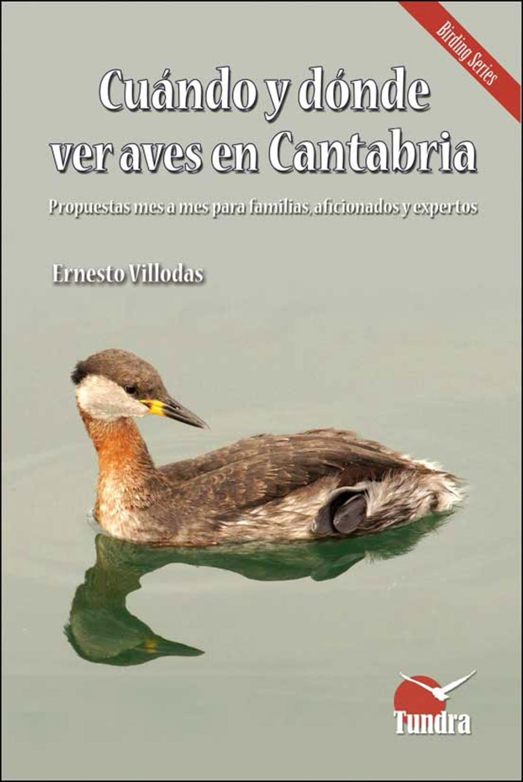 CUÁNDO Y DÓNDE VER AVES EN CANTABRIA. PROPUESTAS MES A MES PARA FAMILIAS, AFICIONADOS Y EXPERTOS