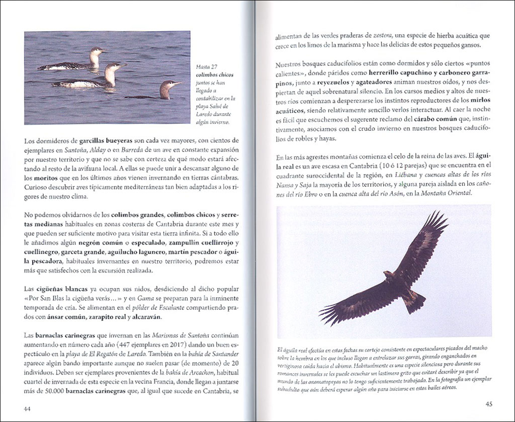 CUÁNDO Y DÓNDE VER AVES EN CANTABRIA. PROPUESTAS MES A MES PARA FAMILIAS, AFICIONADOS Y EXPERTOS 2