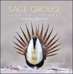 SAGE GROUSE. ICON OF THE WEST