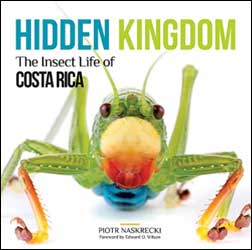 HIDDEN KINGDOM. THE INSECT LIFE OF COSTA RICA 1