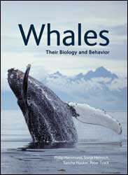 WHALES. THEIR BIOLOGY AND BEHAVIOR 1