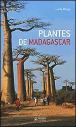PLANTES DE MADAGASCAR 1