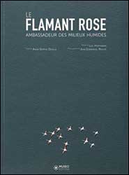 LE FLAMANT ROSE, AMBASSADEUR DES MILIEUX HUMIDES