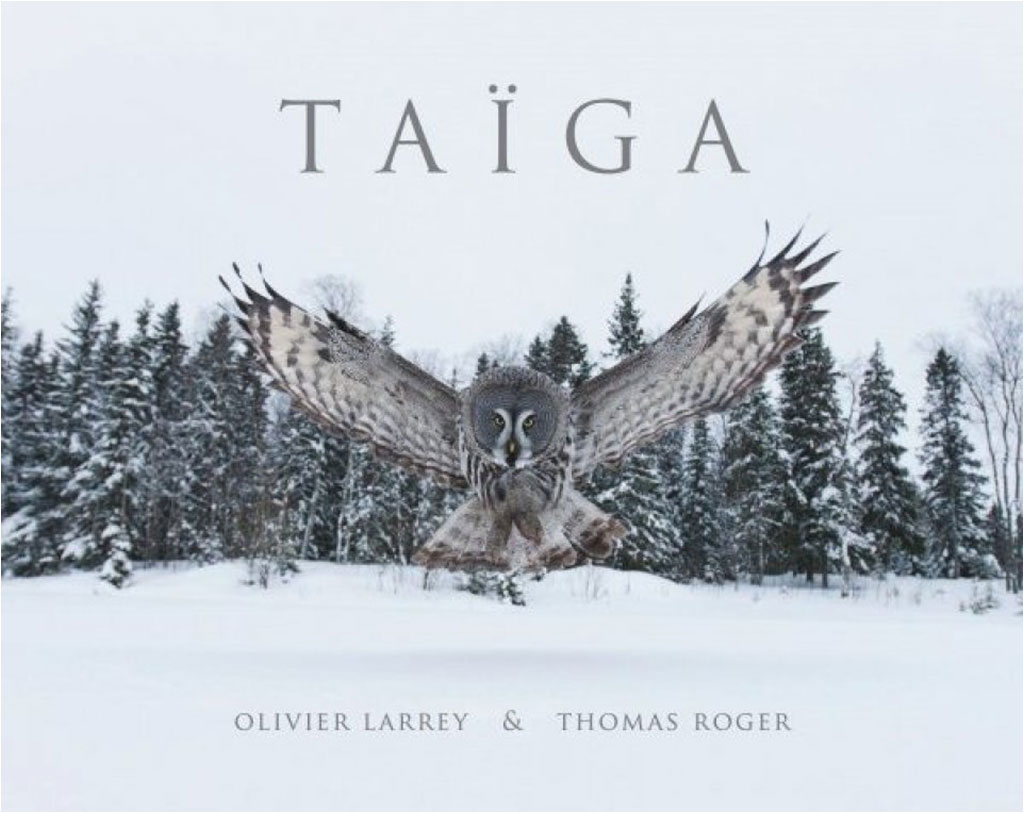TAÏGA