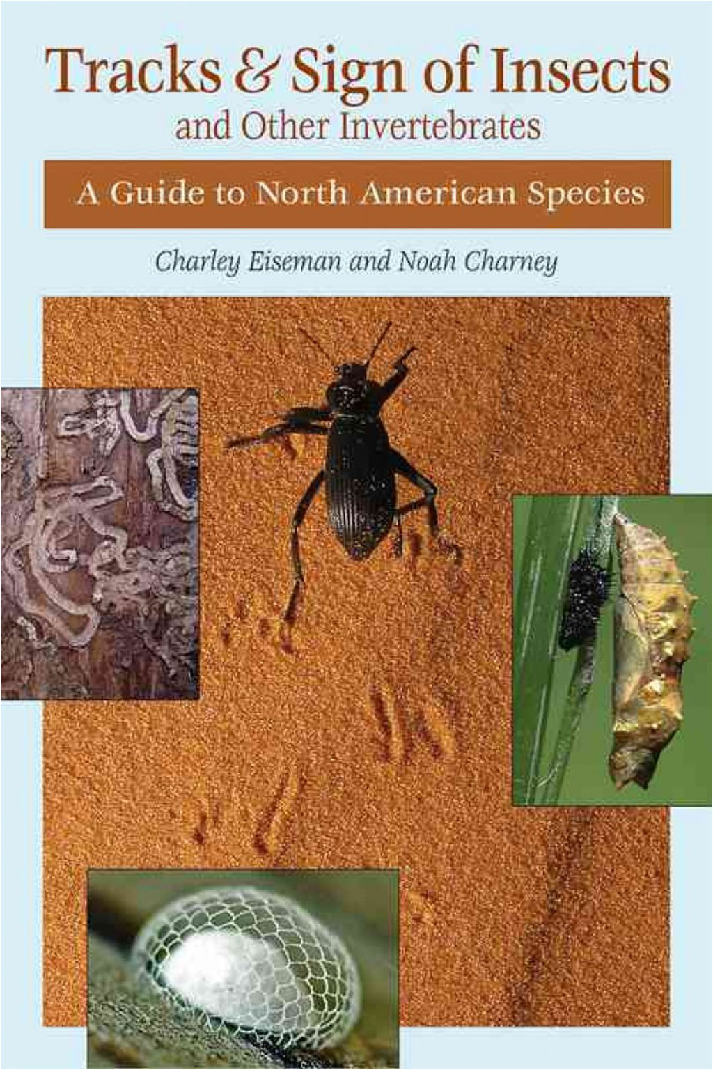 TRACKS & SIGN OF INSECTS & OTHER INVERTEBRATES: A GUIDE TO NORTH AMERICAN SPECIES