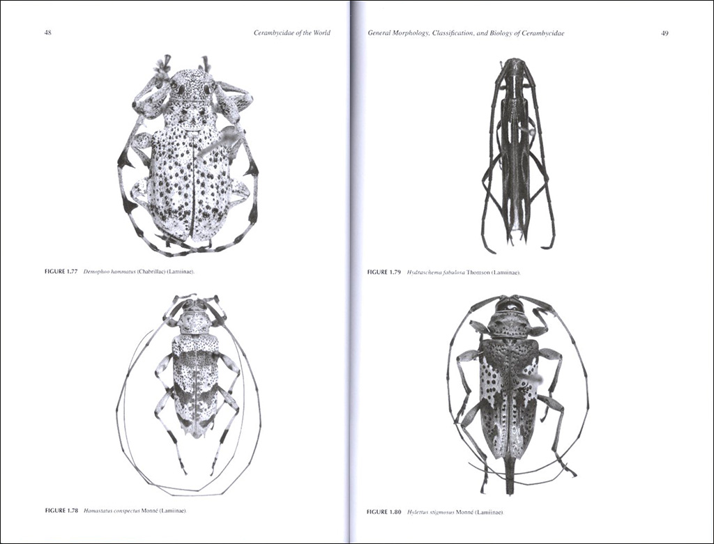 CERAMBYCIDAE OF THE WORLD: BIOLOGY AND PEST MANAGEMENT 2