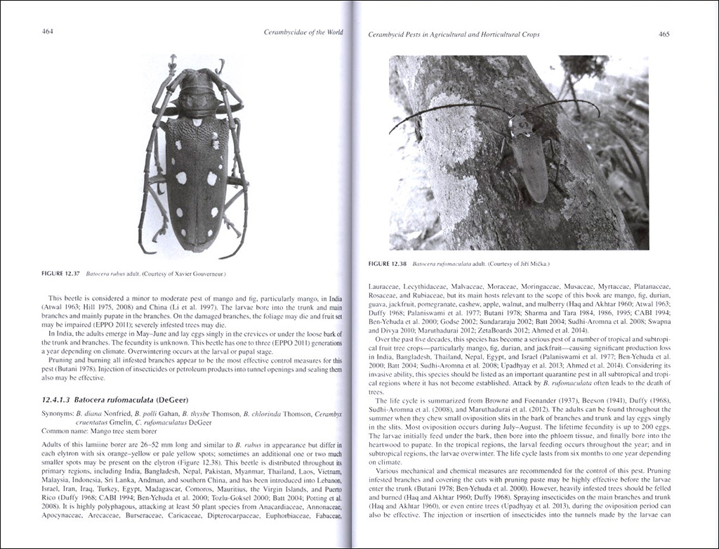CERAMBYCIDAE OF THE WORLD: BIOLOGY AND PEST MANAGEMENT 4